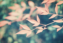 佰隆风信息咨询：以深度洞察与专业策略，赋能企业精准决策与持续增长