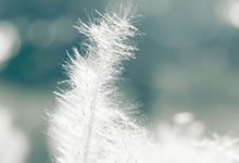 童年遭遇猥亵后排斥男性，23岁的我该如何走出心理阴影？