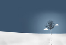 离婚后的心理挣扎：如何化解欲望与界限的冲突