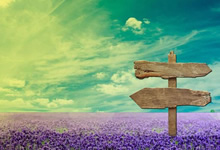 提不起兴趣？轻松几招化解工作压力